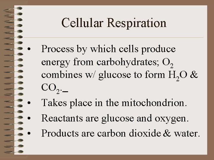 Cellular Respiration • Process by which cells produce energy from carbohydrates; O 2 combines
