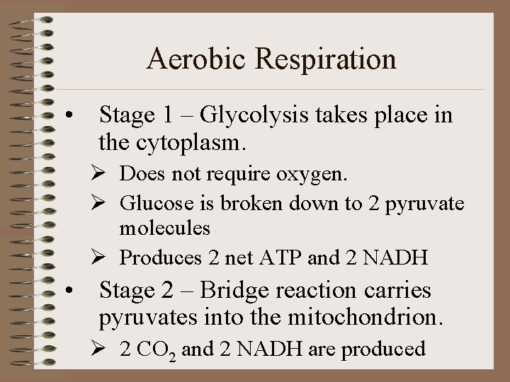 Aerobic Respiration • Stage 1 – Glycolysis takes place in the cytoplasm. Ø Does