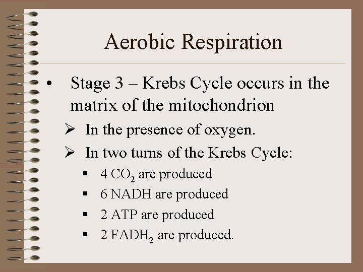 Aerobic Respiration • Stage 3 – Krebs Cycle occurs in the matrix of the