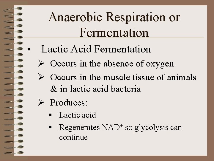 Anaerobic Respiration or Fermentation • Lactic Acid Fermentation Ø Occurs in the absence of