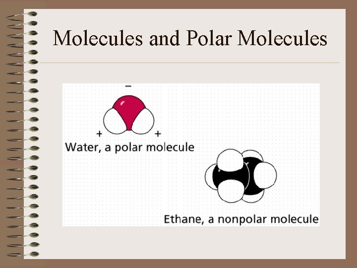 Molecules and Polar Molecules 
