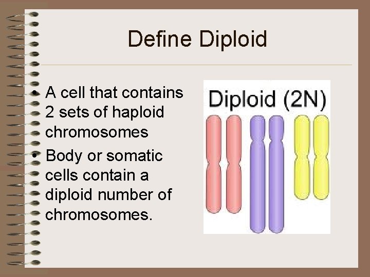 Define Diploid • A cell that contains 2 sets of haploid chromosomes • Body
