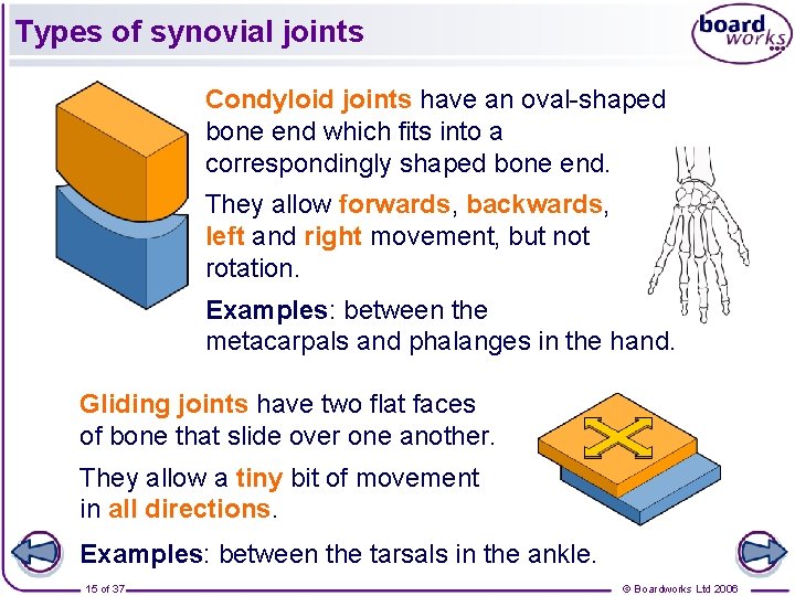 Types of synovial joints Condyloid joints have an oval-shaped bone end which fits into