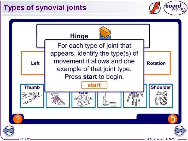 Types of synovial joints 16 of 37 © Boardworks Ltd 2006 