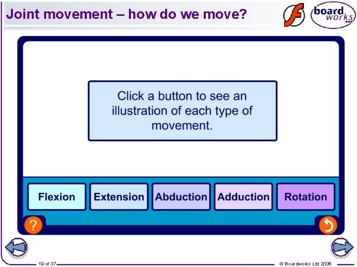 Joint movement – how do we move? 19 of 37 © Boardworks Ltd 2006