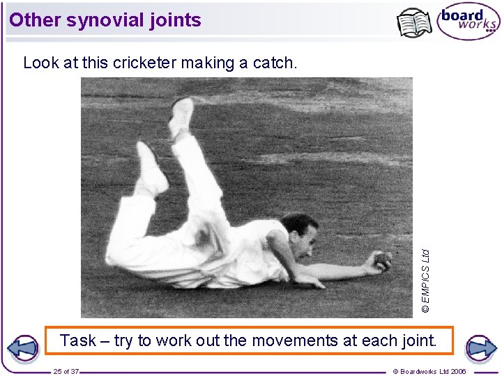 Other synovial joints © EMPICS Ltd Look at this cricketer making a catch. Task
