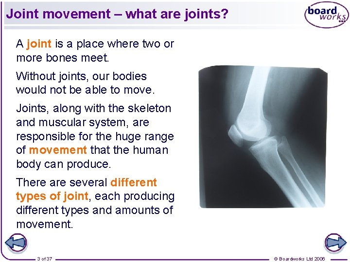 Joint movement – what are joints? A joint is a place where two or