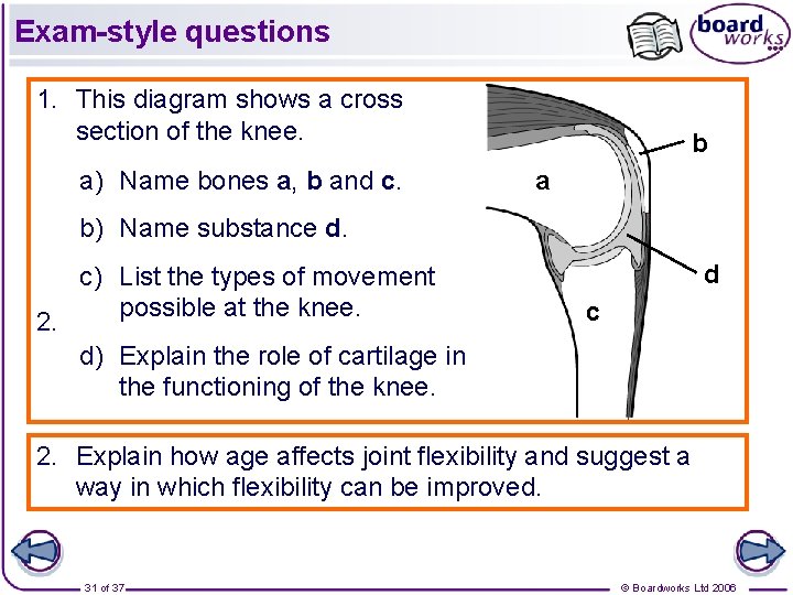 Exam-style questions 1. This diagram shows a cross section of the knee. a) Name