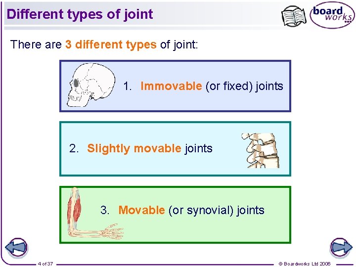 Different types of joint There are 3 different types of joint: 1. Immovable (or