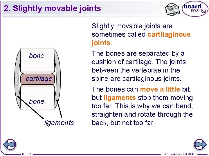 2. Slightly movable joints are sometimes called cartilaginous joints. bone cartilage bone ligaments 6