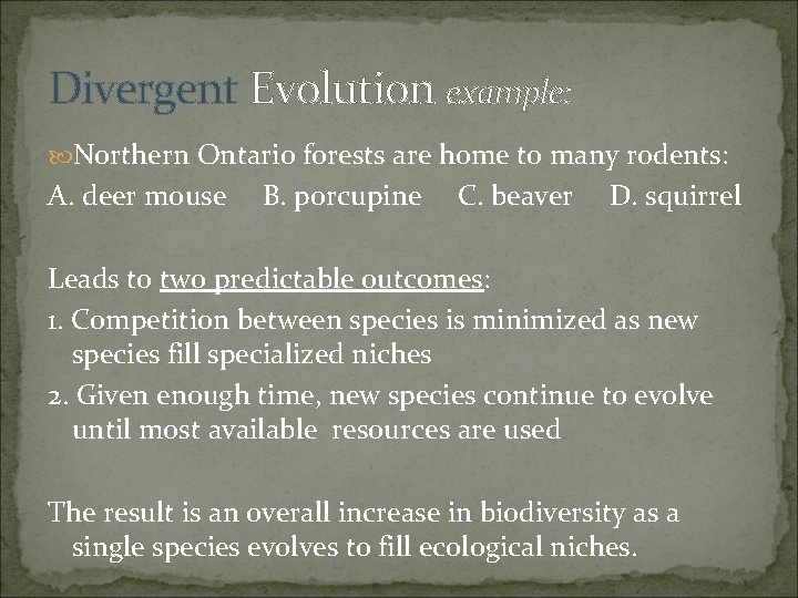 Divergent Evolution example: Northern Ontario forests are home to many rodents: A. deer mouse