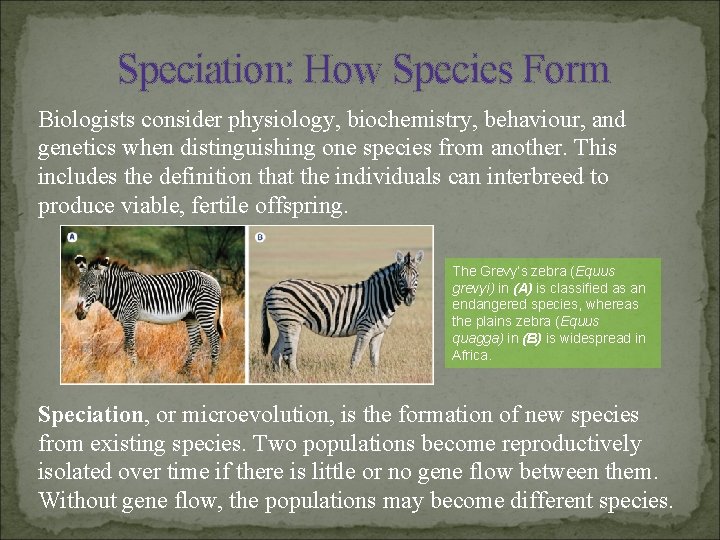 Speciation: How Species Form Biologists consider physiology, biochemistry, behaviour, and genetics when distinguishing one