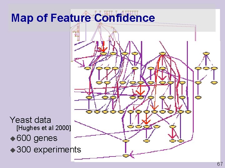 Map of Feature Confidence Yeast data [Hughes et al 2000] u 600 genes u