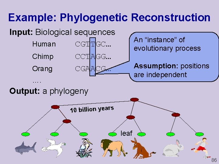 Example: Phylogenetic Reconstruction Input: Biological sequences Human CGTTGC… Chimp CCTAGG… Orang CGAACG… An “instance”