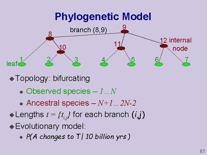 Phylogenetic Model 8 leaf 2 u Topology: 12 internal node 11 10 1 9