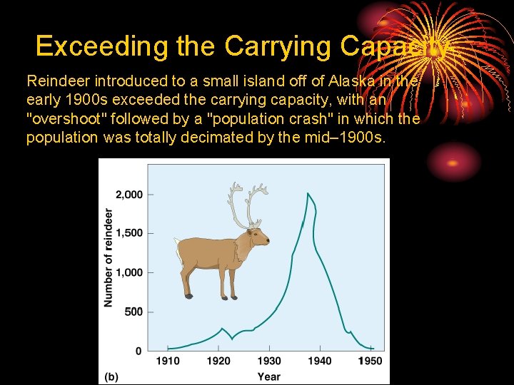 Exceeding the Carrying Capacity Reindeer introduced to a small island off of Alaska in