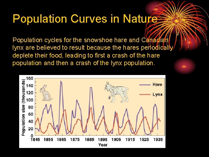 Population Curves in Nature Population cycles for the snowshoe hare and Canadian lynx are