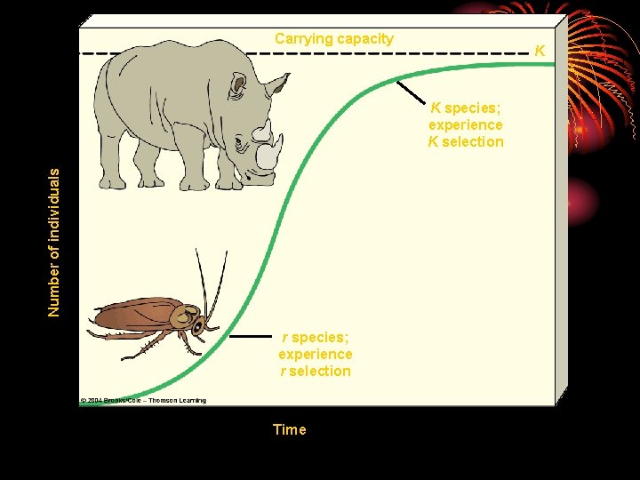 Carrying capacity K Number of individuals K species; experience K selection r species; experience