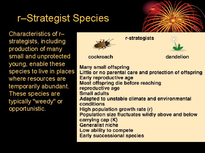 r–Strategist Species Characteristics of r– strategists, including production of many small and unprotected young,