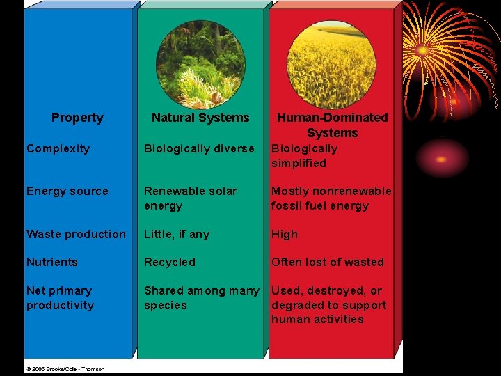 Figure 9 -13 Page 172 Property Natural Systems Human-Dominated Systems Complexity Biologically diverse Biologically