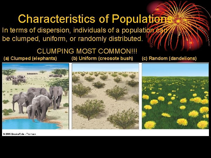 Characteristics of Populations In terms of dispersion, individuals of a population can be clumped,