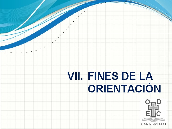 VII. FINES DE LA ORIENTACIÓN 
