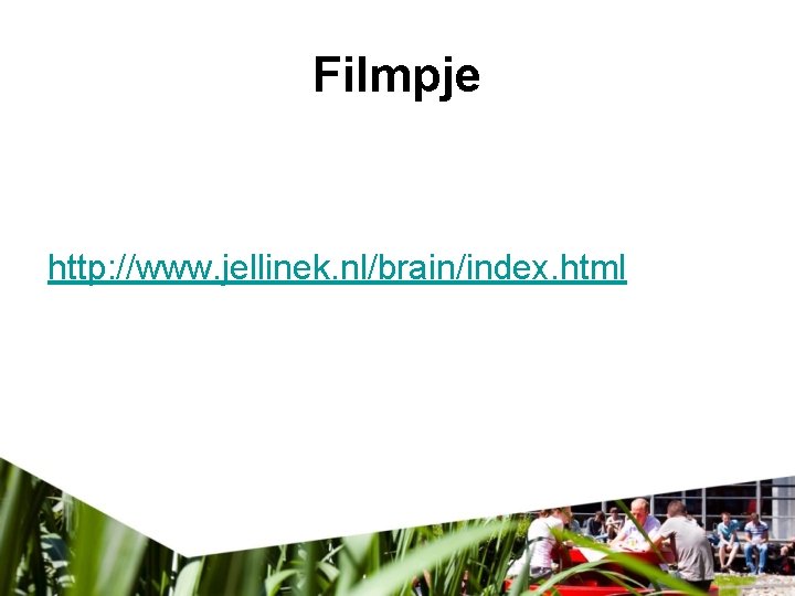 Filmpje http: //www. jellinek. nl/brain/index. html 
