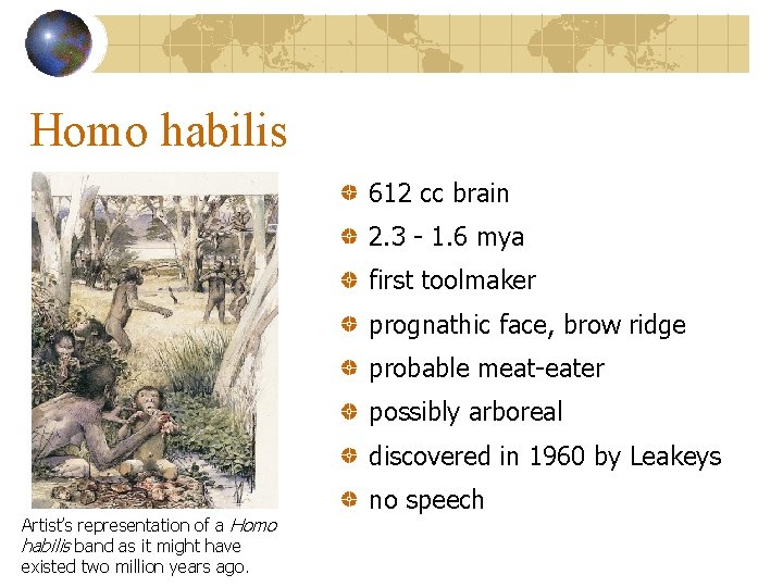 Homo habilis 612 cc brain 2. 3 - 1. 6 mya first toolmaker prognathic