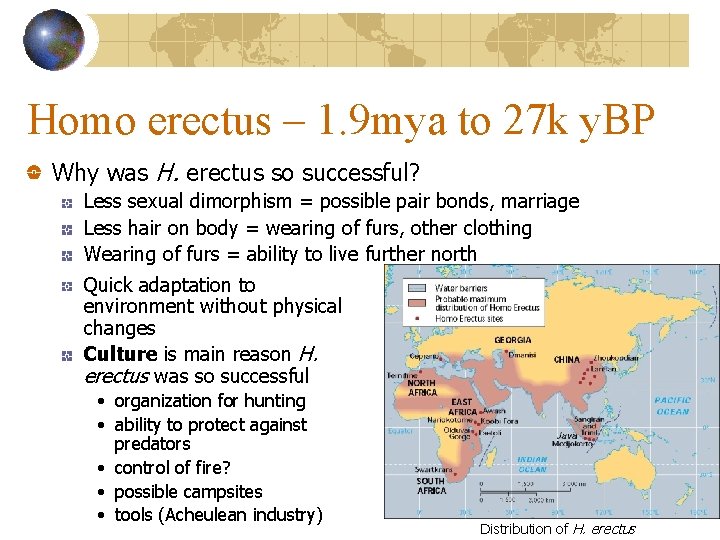 Homo erectus – 1. 9 mya to 27 k y. BP Why was H.