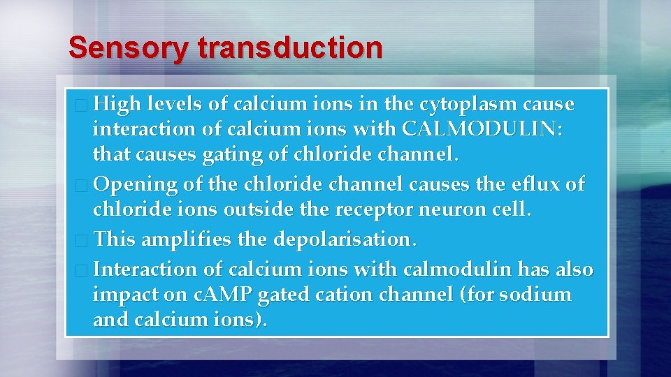 Sensory transduction � High levels of calcium ions in the cytoplasm cause interaction of