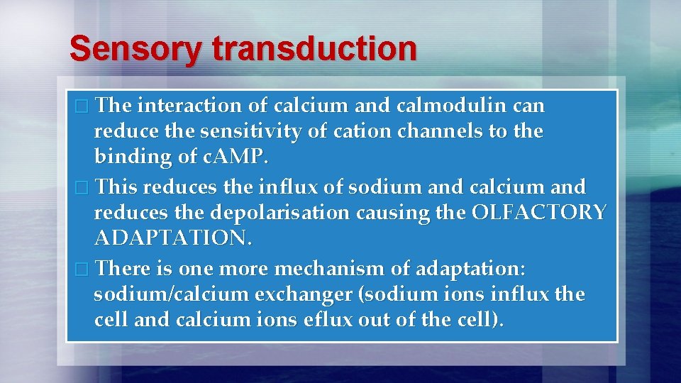 Sensory transduction � The interaction of calcium and calmodulin can reduce the sensitivity of