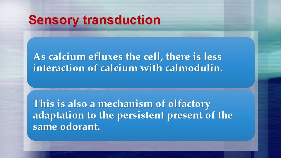 Sensory transduction As calcium efluxes the cell, there is less interaction of calcium with