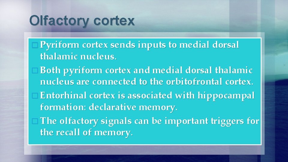 Olfactory cortex � Pyriform cortex sends inputs to medial dorsal thalamic nucleus. � Both