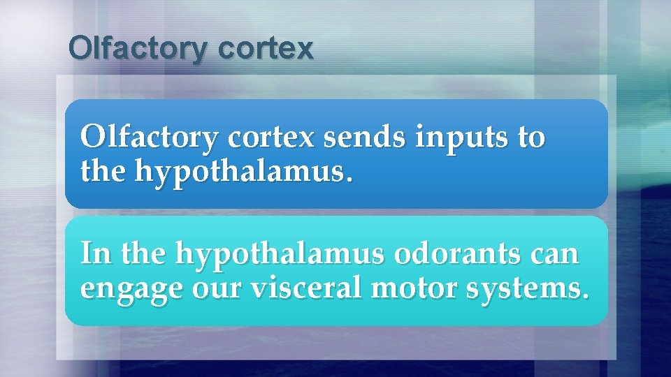 Olfactory cortex sends inputs to the hypothalamus. In the hypothalamus odorants can engage our