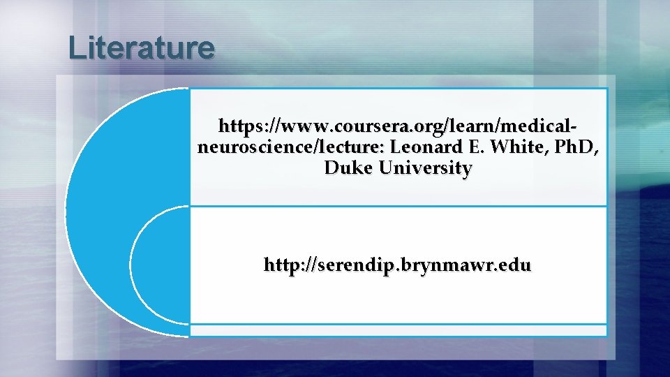 Literature https: //www. coursera. org/learn/medicalneuroscience/lecture: Leonard E. White, Ph. D, Duke University http: //serendip.