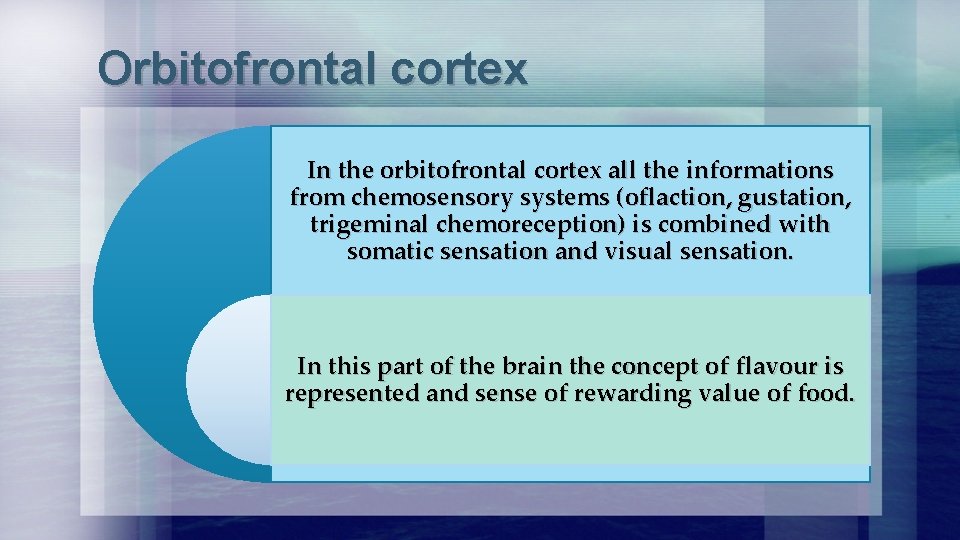 Orbitofrontal cortex In the orbitofrontal cortex all the informations from chemosensory systems (oflaction, gustation,