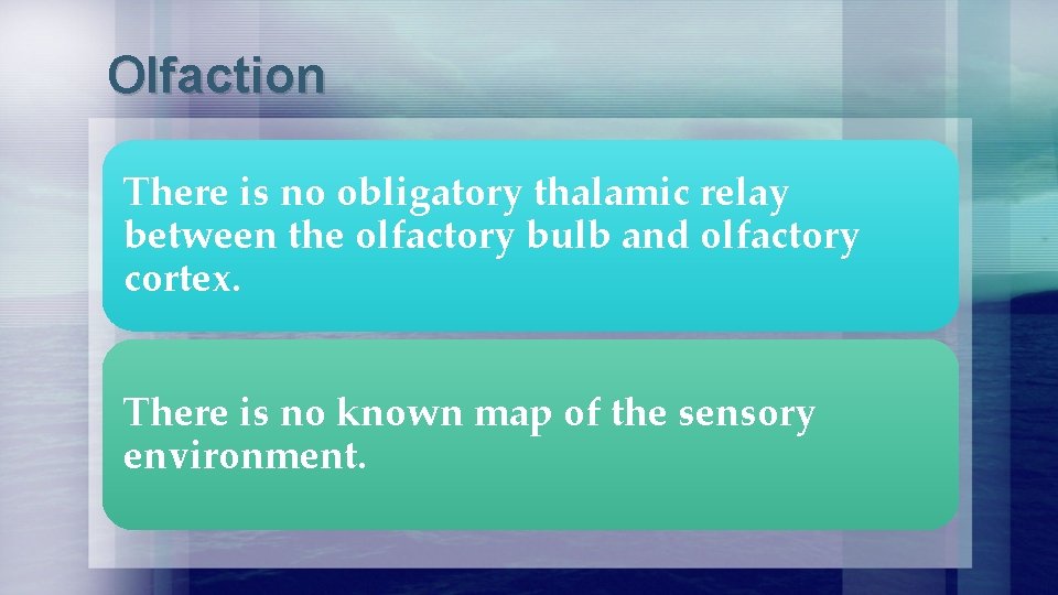 Olfaction There is no obligatory thalamic relay between the olfactory bulb and olfactory cortex.