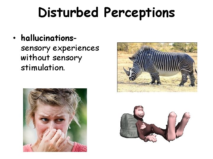 Disturbed Perceptions • hallucinationssensory experiences without sensory stimulation. 