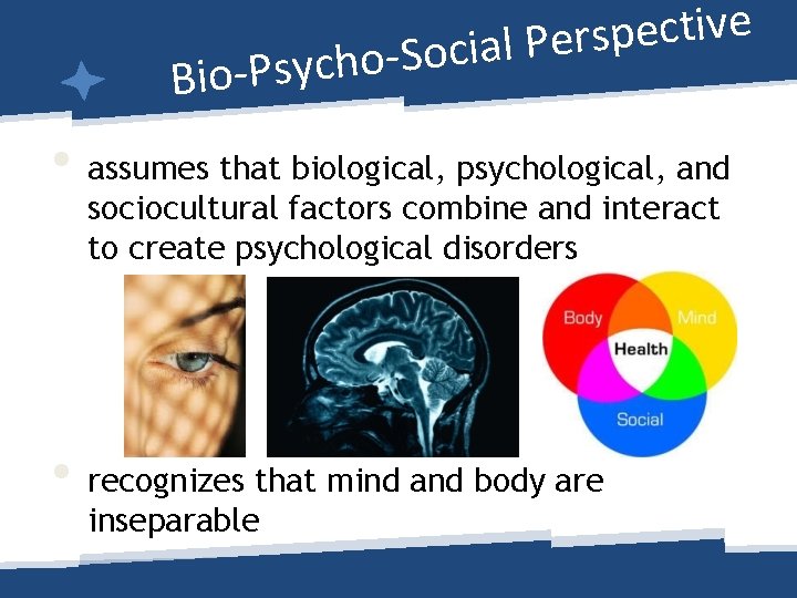 e v i t c e p s r e P l a i