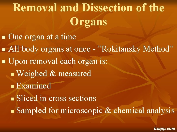 Removal and Dissection of the Organs One organ at a time n All body