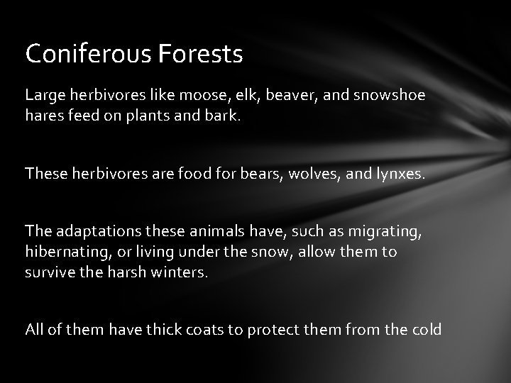 Coniferous Forests Large herbivores like moose, elk, beaver, and snowshoe hares feed on plants