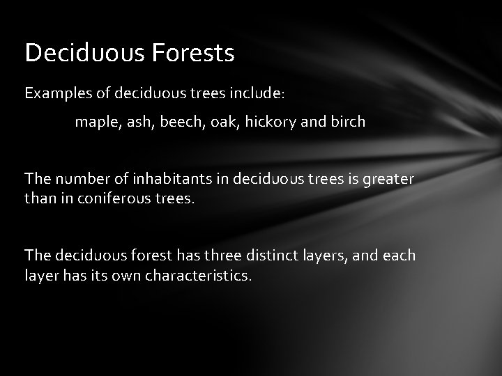 Deciduous Forests Examples of deciduous trees include: maple, ash, beech, oak, hickory and birch