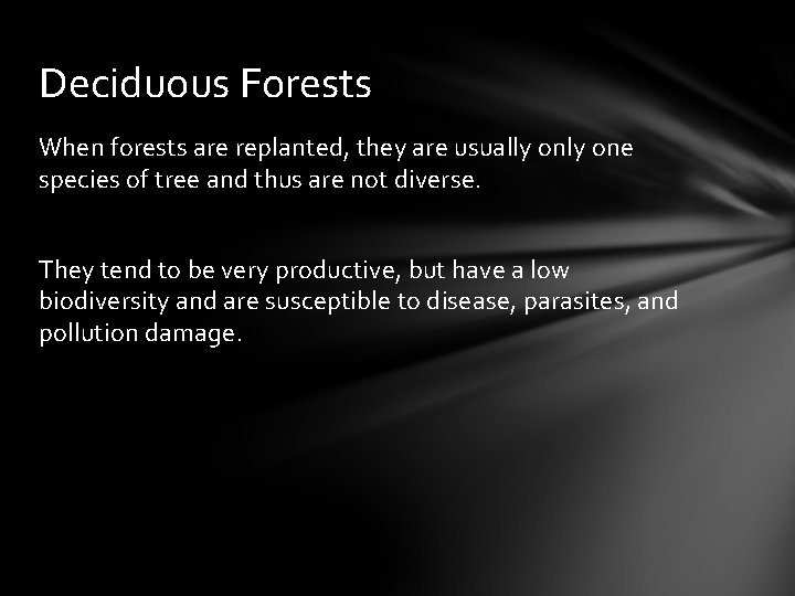 Deciduous Forests When forests are replanted, they are usually one species of tree and