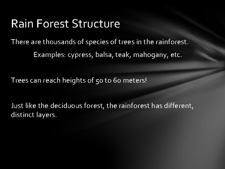 Rain Forest Structure There are thousands of species of trees in the rainforest. Examples: