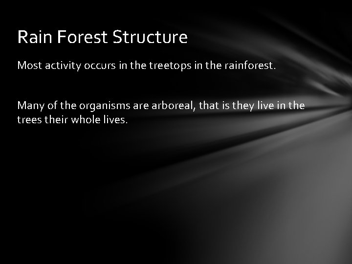 Rain Forest Structure Most activity occurs in the treetops in the rainforest. Many of