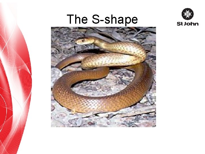 The S-shape 