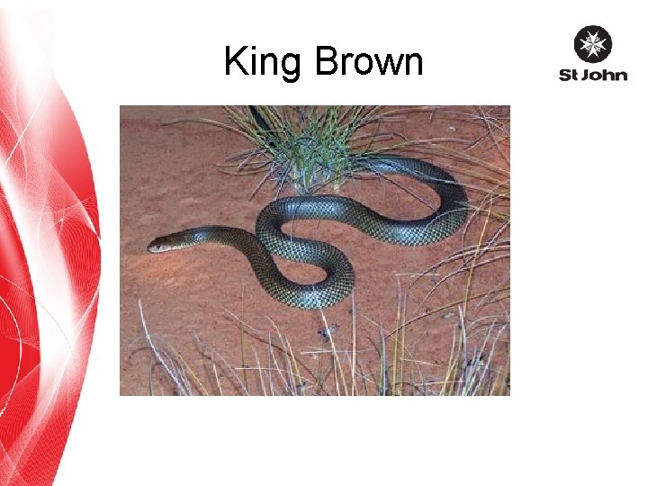 King Brown 