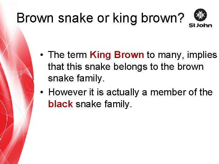 Brown snake or king brown? • The term King Brown to many, implies that
