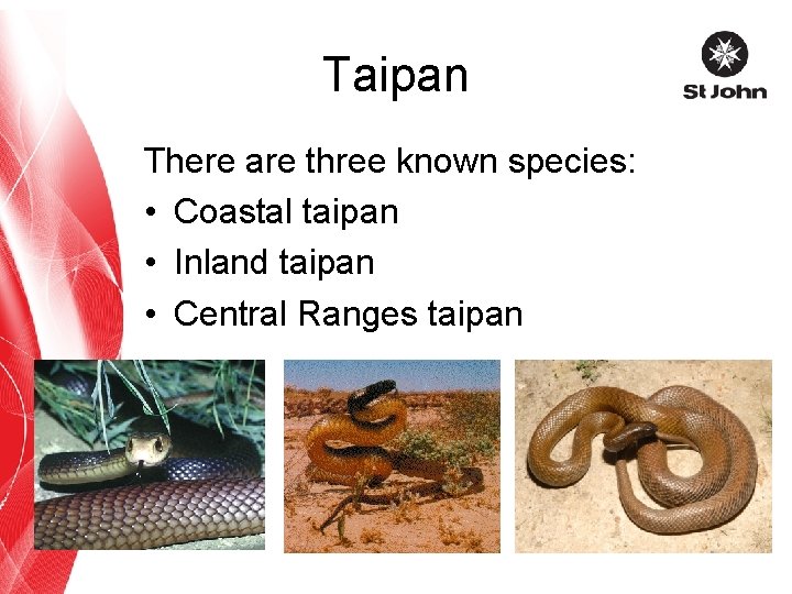Taipan There are three known species: • Coastal taipan • Inland taipan • Central