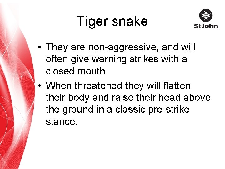 Tiger snake • They are non-aggressive, and will often give warning strikes with a